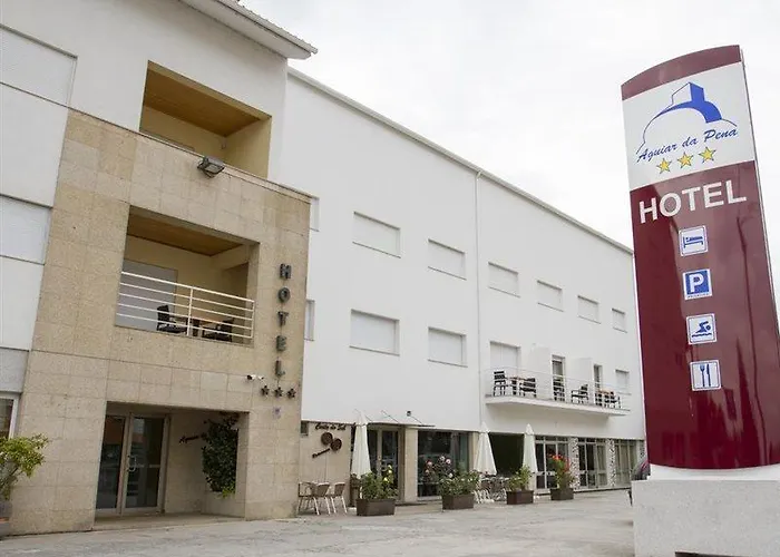 Hotel Aguiar Da Pena 3*